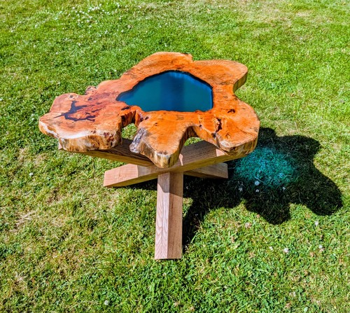 Yew tree live edge - tree, table